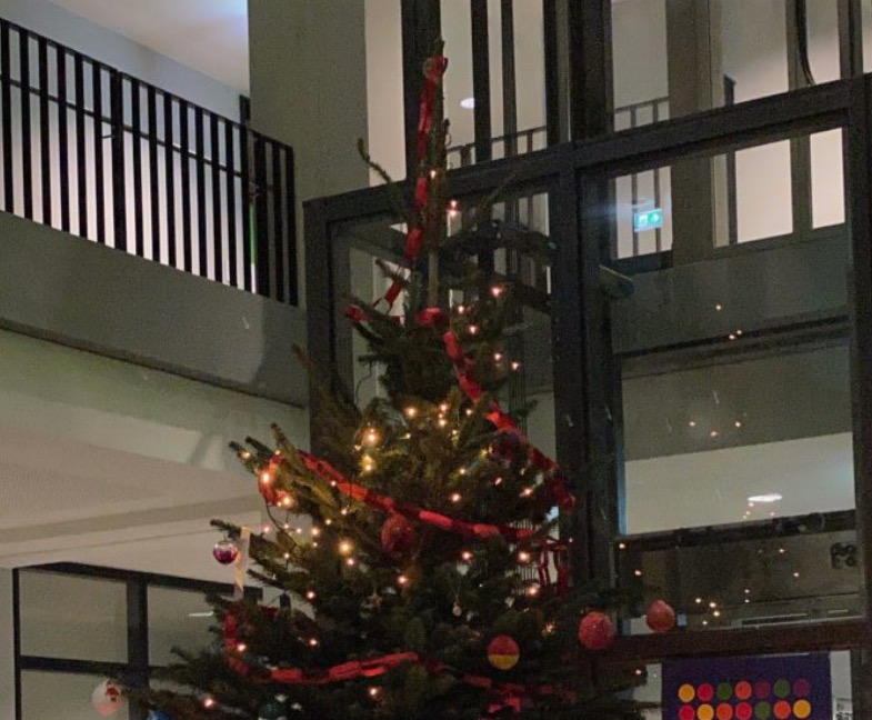 Weihnachtsbaum schmückt Foyer unserer Schule